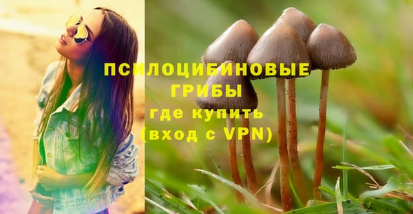 PSILOCYBIN Беломорск